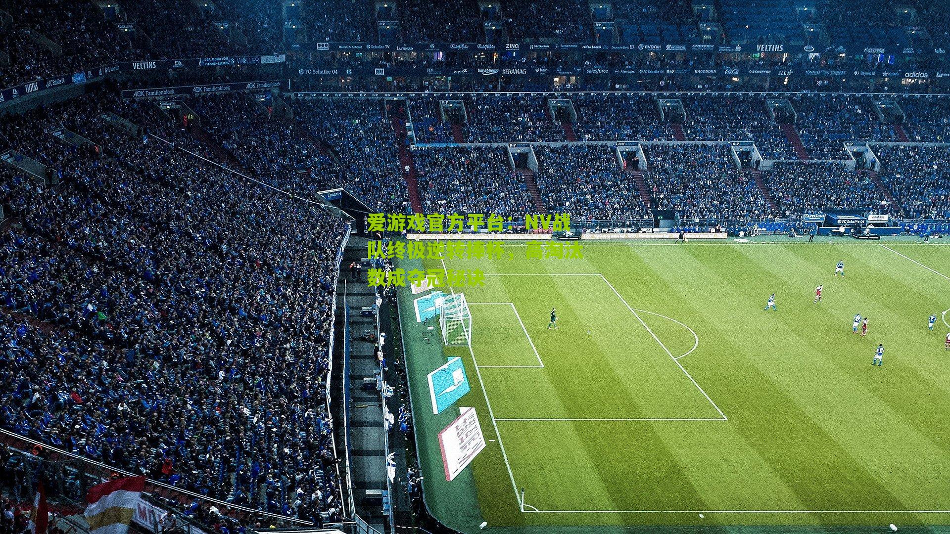 NV战队终极逆转捧杯，高淘汰数成夺冠秘诀