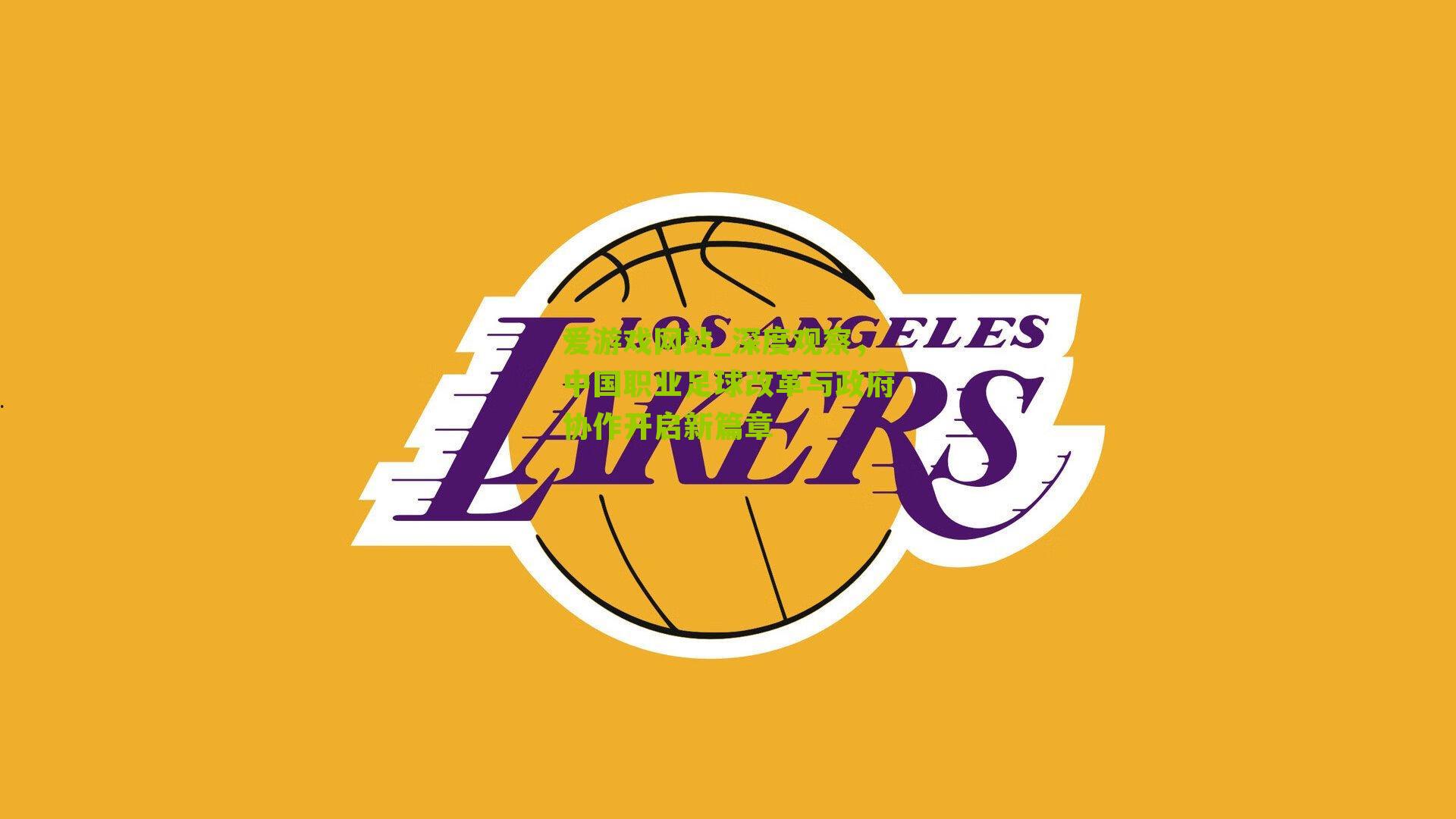 爱游戏网站_深度观察，中国职业足球改革与政府协作开启新篇章